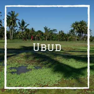 blog voyage bali ubud que faire itinéraire