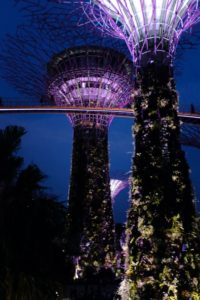 singapour son et lumière nuit