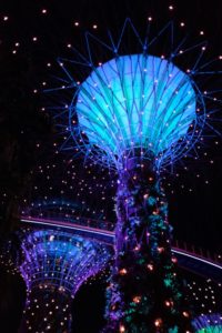blog voyage singapour gardens by the bay